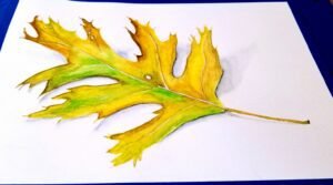 watercolor leaf