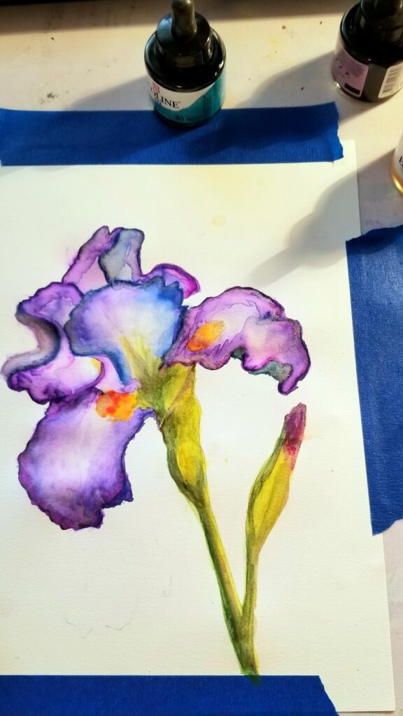 Iris