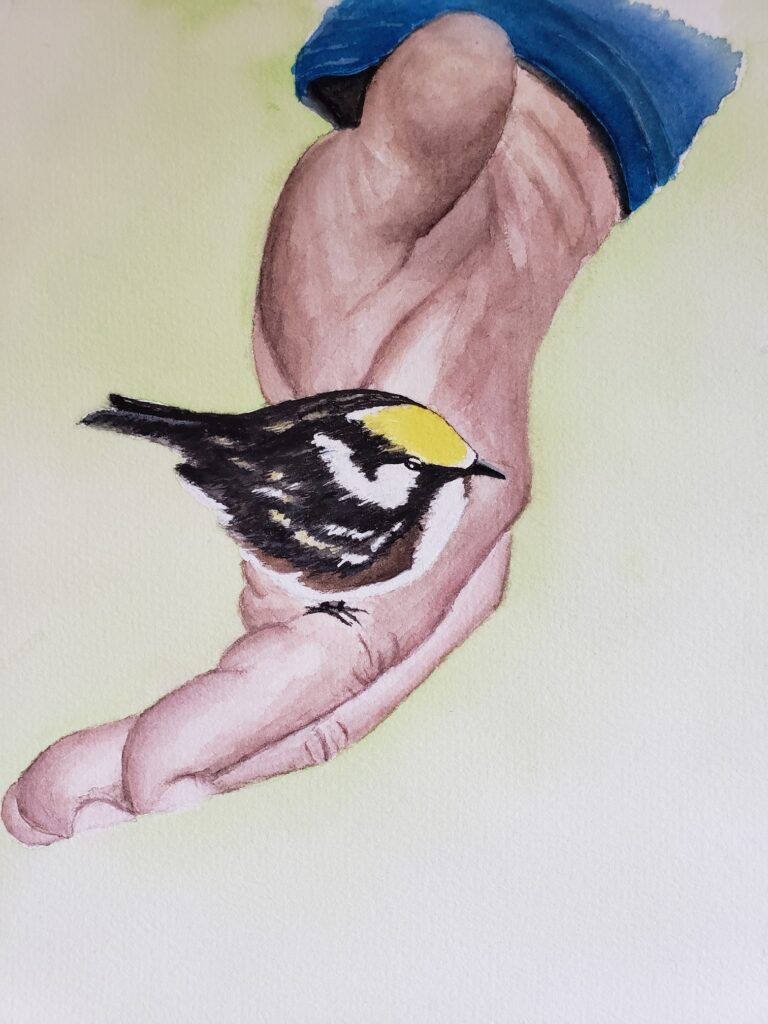 bird in the hand small
