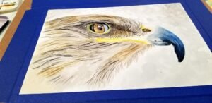 watercolor eagle
