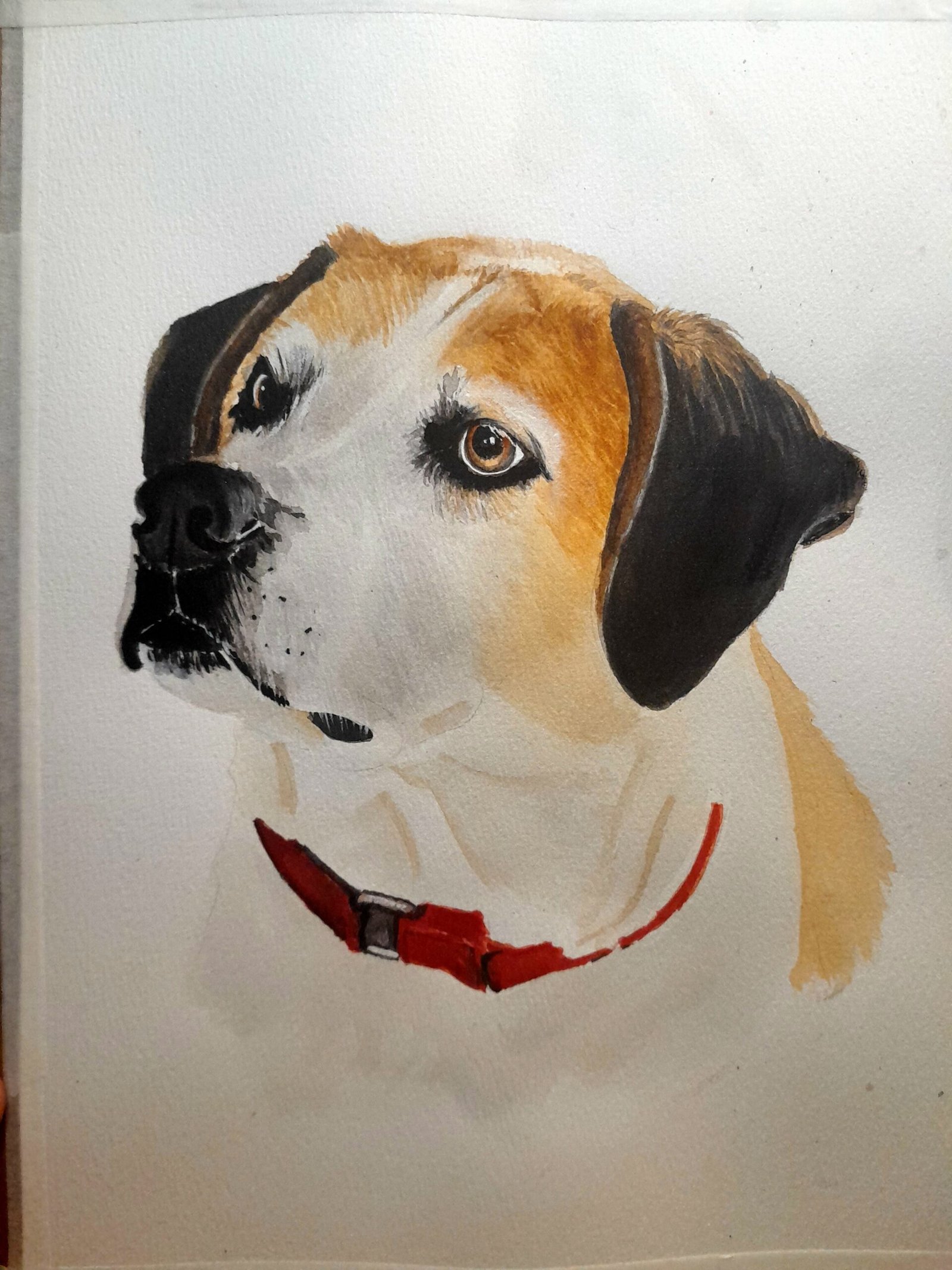 Colorful original watercolor painting by Debbie Johnson